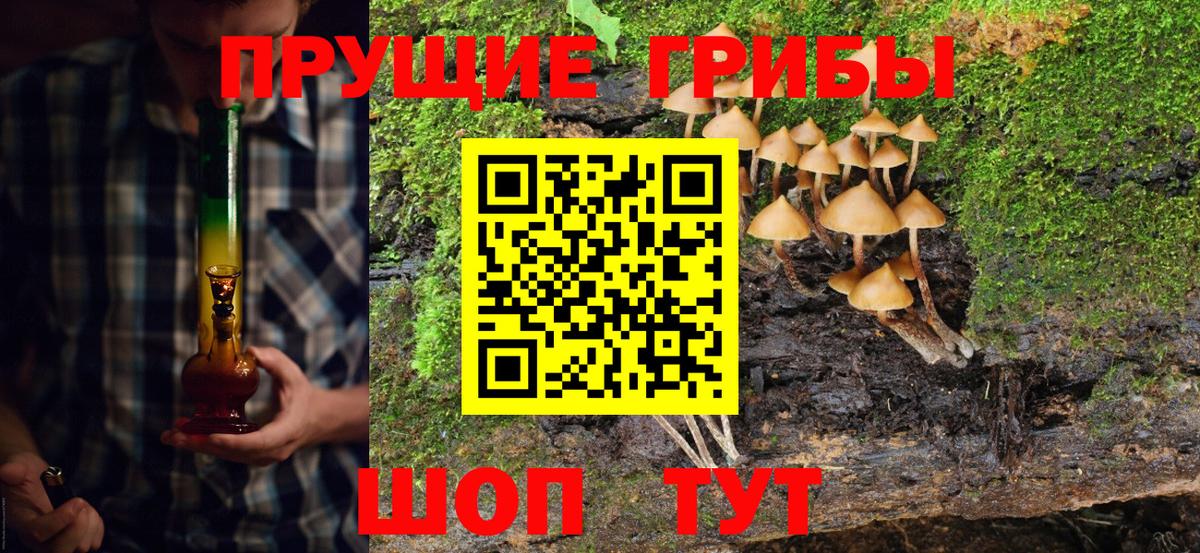 Псилоцибиновые грибы ЛСД Саяногорск
