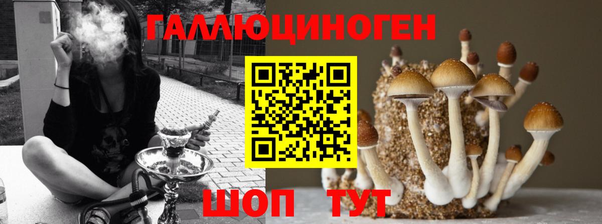 Саяногорск  Галлюциногенные грибы Cubensis  закладки  Галлюциногенные грибы мухоморы  Вход с VPN 